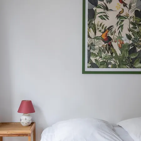 Veeve - Birds Of Paradise Parigi